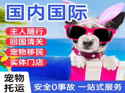 建三江机场邮寄国际宠物托运 【国